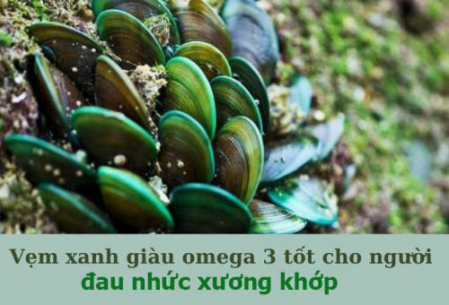 vem-xanh-giau-omega-3-tot-cho-dau-nhuc-xuong-khop.jpg